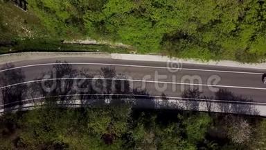 从无人机到松林中公路的鸟瞰图。树林里的乡间小路。